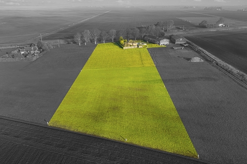 Bellwater Bank, New Leake